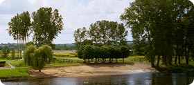 Bord de Vienne