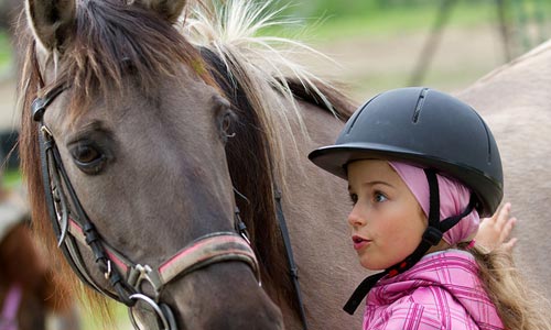 Baby-poney / Baby-cavalier