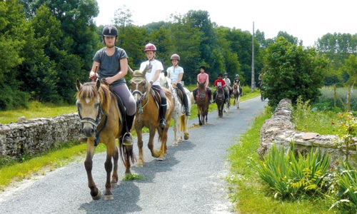 Balades à poney et à cheval